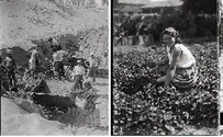 INN: Amer. Colony Israel's History in Pictures: Photos as Historical Proof