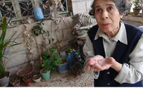 "מתנפלים עליי כמו חיות"