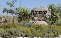 צבאים על ההרים - נשות היישוב עמונה מדברות