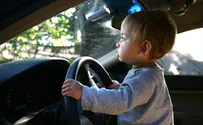החל ממחר: נהג חדש יחוייב במלווה ל-6 חודשים
