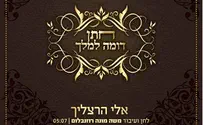 אלי הרצליך בסינגל בכורה: חתן דומה למלך