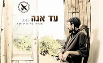 עד אנה: אביחי פז גרינוולד לקראת אלבום 