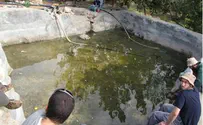 מטיילים בשומרון ומגיעים לביר אדווה