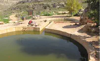 גדי דיעי הכירו את עין עוז
