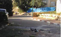Lebanon's President Condemns Rocket Fire, Hezbollah Won't