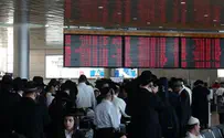 מבצע "אומן ראש השנה תשע"ד" בעיצומו