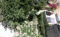 Shlomo Levinger Arabs Take Over Courtyard of Beit HaMachpela