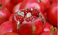 Flash 90 US-Israel Recipes: Kinoa-Pomegranate Salad