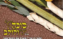 סוכה ולולב - יוחאי בן אב"י מארח את רפי ממן