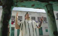 חגיגות שיח הזכויות. פרשנות
