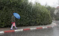 מחיר הברד הקצרצר שירד: 4 מיליון