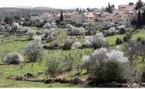 'Green' Efrat Comes Up With Another Money-Saving Idea