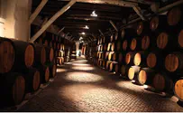 New Wines from Samaria to Hit Shelves