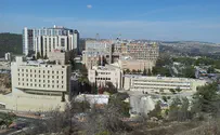 בחודש הקרוב: אין השתלות בהדסה