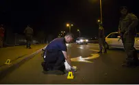 Injured Toddler's Mother Speaks Out