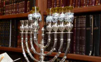 שמן לחנוכיה - מזית או משאר צמחים?