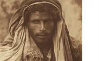 INN: Lof C Israel's History in Pictures: More Photos by the Narinsky's