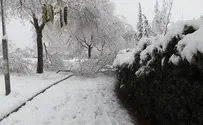 Слухи о новой снежной буре 