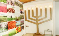 תרבות ופנאי - בזמנכם החופשי