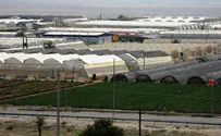 קומפוסט ישראלי: העולם מחרים והרש"פ קונה