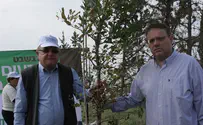 העץ הראשון לזכרו של שרון