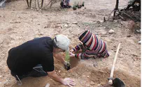 'We Want Seedlings, Not Rockets'