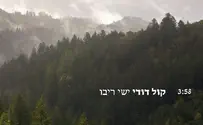 ישי ריבו - בדרך לפסגה