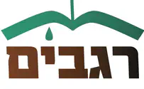 העיר הערבית החדשה בגליל 