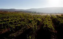 100 Million Shekel Boycott Damage To Jordan Valley