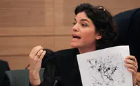 קירשנבאום נגד זנדברג: "בושה שמעשנת סמים"