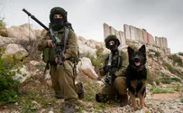 קריאה לחיילים: סרבו פקודה - פינוי הוא פשע