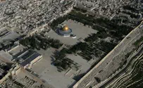 האמנו שנשוב אך לא האמנתי שאני אזכה