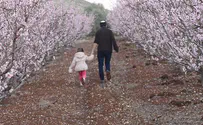 פורים: משלוחי מנות במוסיקה היהודית