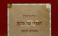 סטימצקי הגדה של פסח "והגדת לבתך"