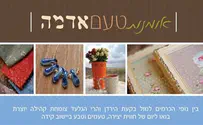 אחרי ההרס: יריד בקידה