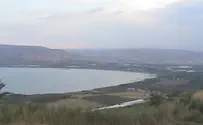 חודשיים ללא דיג בצפון הכינרת
