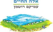 עמיקם רוטמן ספר חדש: אלה החיים- עמיקם רוטמן
