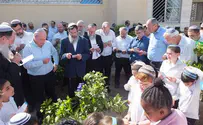 צפו: ברכת האילנות של הגרעינים התורניים