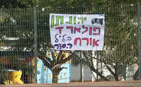 תנועת אריאל בתנועת אריאל מצפים לפולארד