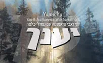 יוסי ואבי פיאמנטה שרים עם נפתלי כלפה