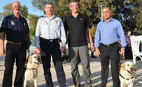 מה עשו עשרות כלבי נחייה בבסיס פלמחים?