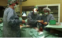 Organs of Tourist Who Died From Tahini Save Four Lives