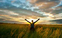 What is 'Freedom'?