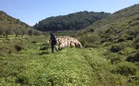 הפנינג היסטורי במבוא דותן