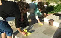 צילום: דוברות מועצה אזורית הר חברון בני הנוער ניקו את קברי הנופלים