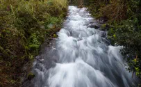 Golan Heights Welcomes 'Rains of Blessing'