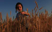 "ברמת המדינה - ישראל שומרת שמיטה"