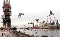 15 עצורים בחשד למעורבות בשחיתות בנמל אשדוד