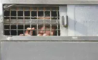 Behar: When You Come to the Land