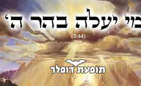 סינגל חדש של תופעת דופלר